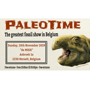 The greatest fossil show in Belgium