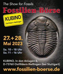 Fossilien Börse 2023 im Kubino